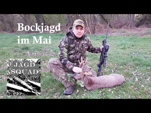 BOCKJAGD -  ungerader 8'er Anfang Mai
