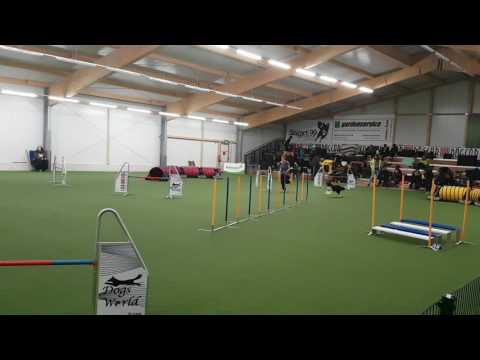 Brezi | J3 DWA Östringen 07.01.2016