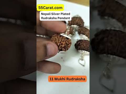 11 mukhi rudraksha