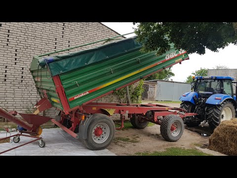 Udało się pożyczyć przyczepy więc kosimy dalej! Wjeżdżamy w pszenicę! | Żniwa 2021 | Żmijkowanie