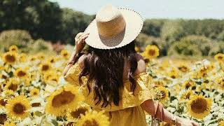 Mandisa | [Never Gonna] Steal My Joy (Tradução)