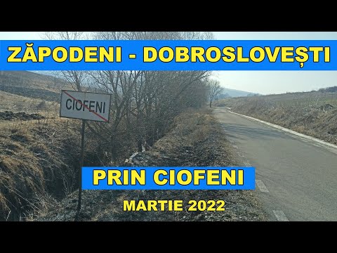 Drumul ZAPODENI - CIOFENI - DOBROSLOVESTI prin DC 1 Vaslui video față - spate