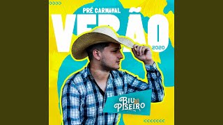 Download  Sequência de Vapo Vapo  - Biu do Piseiro