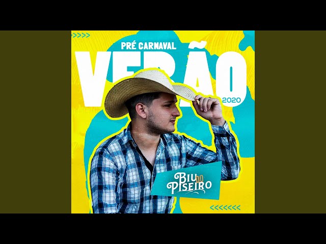 Download Sequência de Vapo Vapo Biu do Piseiro
