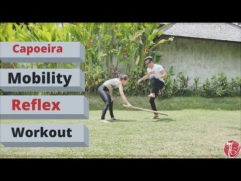 Capoeira Mobility, Agility & Reflex Workout | Cobrinha BJJ