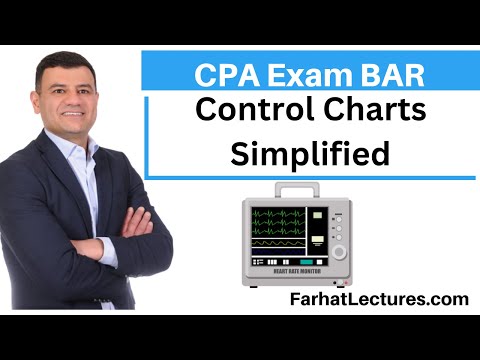 Financial Risks and Mitigation CPA Exam Business Analysis and Reporting BAR