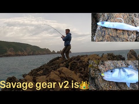 LURE FISHING FOR SEA BASS|SAVAGE GEAR V2|THIS LURE IS THE DIFFERENCE!!