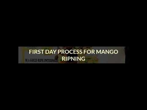 Mango  Ethylene Unsaturated  Powder