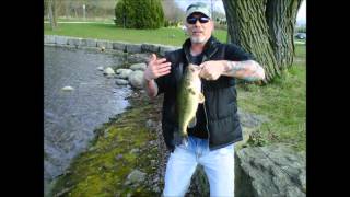 Weapons of Bass Destruction