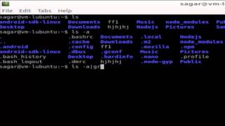 How to view only hidden files and directories in Unix