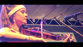 Blue Trail of Sorrow  / Dan Tyminski Band