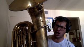 Hora din Ghermanesti on a tuba