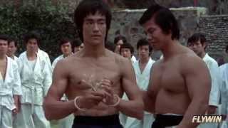 Download lagu BRUCE LEE 2013 TRIBUTE | 40 Years You've Been Gone, And Yet You Remain by @FlyWinMedia mp3