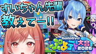 【ぷよテト】すいちゃん先輩、テトリスでも勝てますか？！！！！【一条莉々華/hololive DEV_IS ReGLOSS】