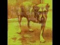 Alice In Chains - Head Creeps Lyrics (On Screen)