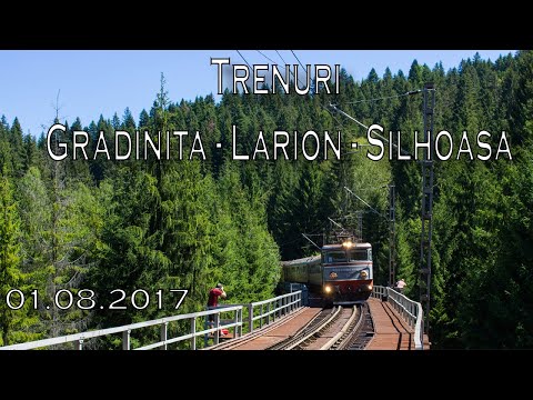 Trenuri Gradinita-Larion-Silhoasa - 01.08.2017