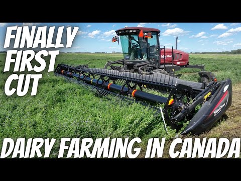 Dropping The First Field Of Alfalfa!