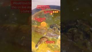 #soup #augdailyshorts #shorts #healthyfood #foodie