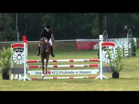 PAV SZENARIO v. Stakkato - Calypso ll - Grannus Sieger Lohberg 2015