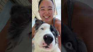 #オーストラリア #ワーホリ #海外生活 #ビーチ #海