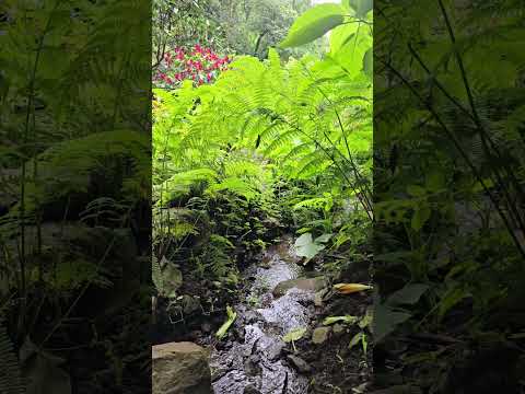 Santa Catarina Barahona,  Sacatepequez