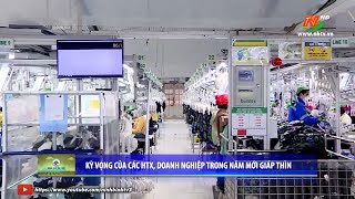 Tam Điệp: Kỳ vọng của các HTX, Doanh nghiệp trong năm mới Giáp Thìn 2024