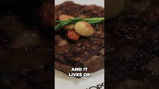 Is Chops Grille Actually Worth $40+ Extra? #cruising #shorts