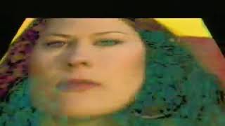 Adrian Belew   Big Electric Cat