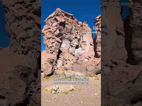 Ruta de los salares, San Pedro de Atacama 🇨🇱