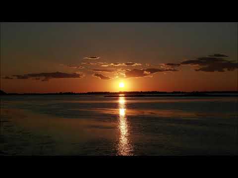 Trance In Motion Vol.262 (2019) (Название треков и исполнители в описании)