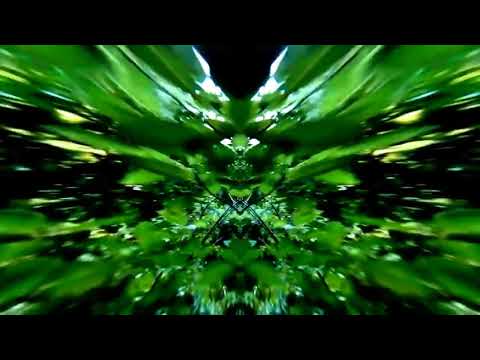 Fac3Off - The Beast (Original Mix)