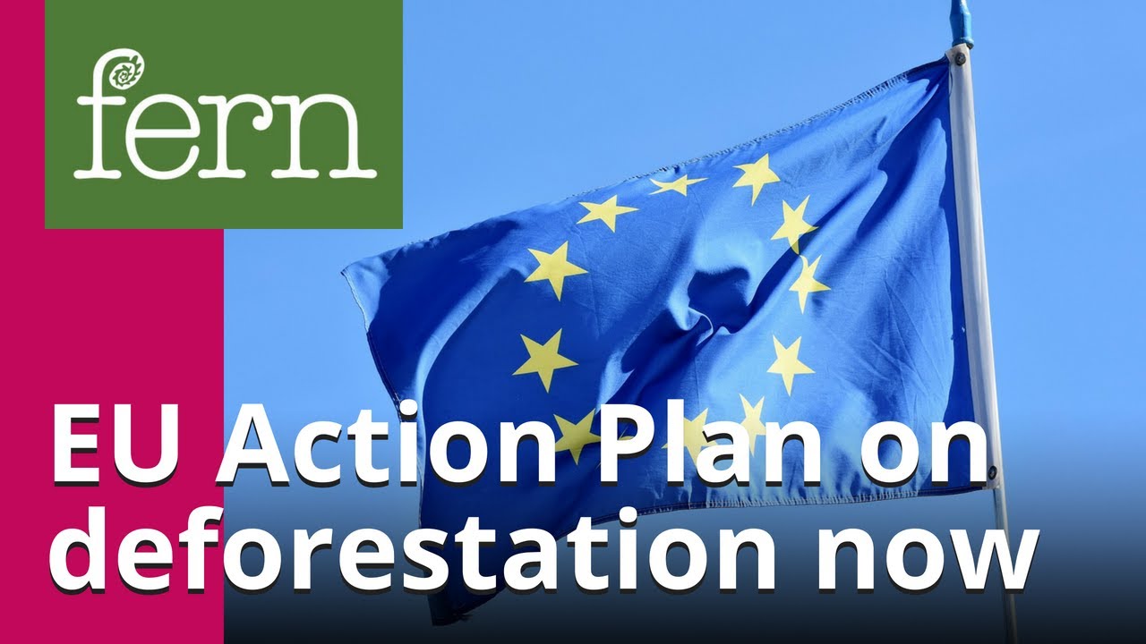 We need an EU Action Plan on deforestation now!