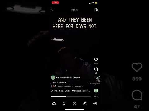 Dondrino Freestyle 45 💥