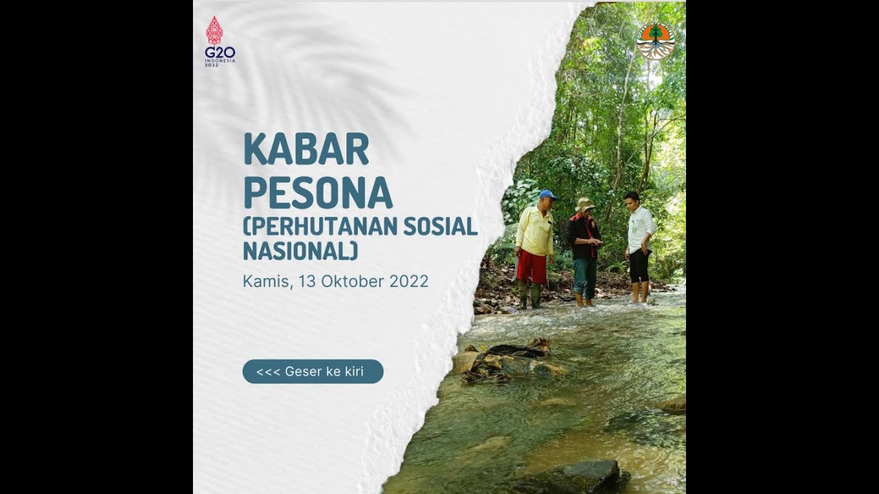 KABAR PESONA (PERHUTANAN SOSIAL NASIONAL) KAMIS, 13 OKTOBER 2022