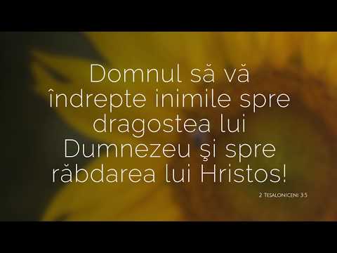 Program online Duminica 10 Mai 2020