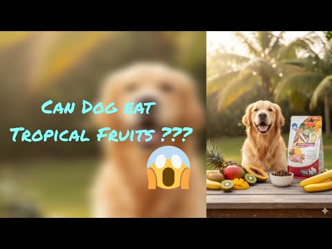 Farmina N&D Tropical Selection Review | Best Healthy Dog Food with Tropical Fruits & High Protein |