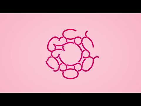 Hex: Anxiety Relief Relax Game Video