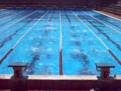 COGESE_Flying Dolphin_Delfino Volante_1 doc.MOV