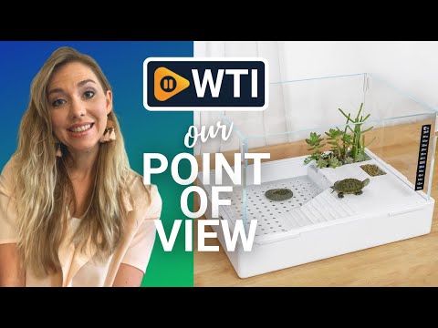 BETAZOOER Turtle Tanks - WTI product video review