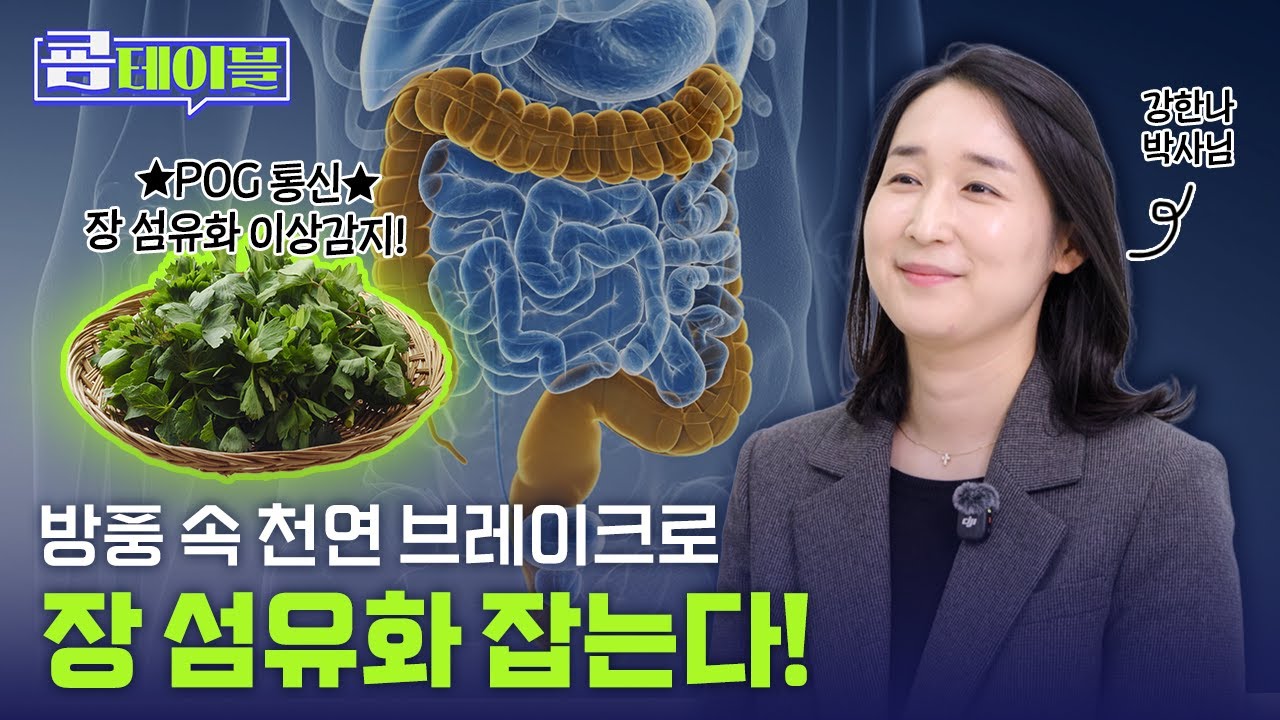 방풍 속 천연 브레이크로 장 섬유화 잡는다!