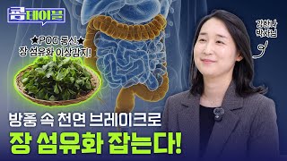 방풍 속 천연 브레이크로 장 섬유화 잡는다!