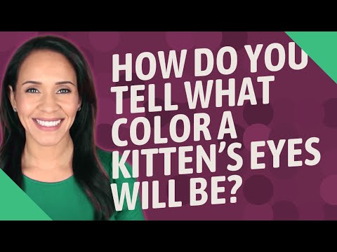 How do you tell what color a kitten's eyes will be?