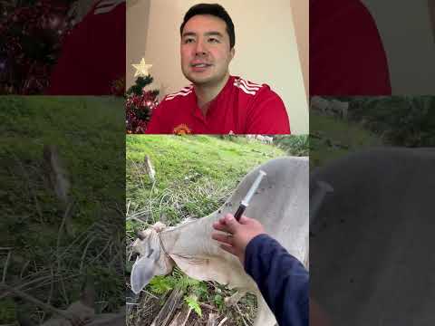 😱🤯🫨#мирасфутбол #футбол #football #mirasfootball