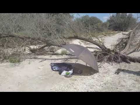 Plaja izolata Perisor 25.08.2021