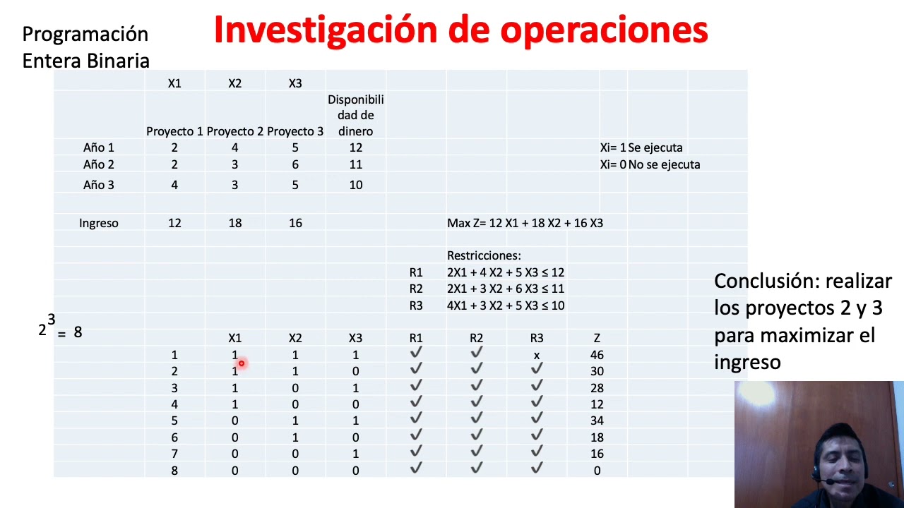 Programación entera binaria
