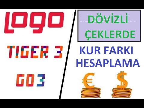 Dövizli Çeklerde Kur Farkı - Logo Tiger / Go