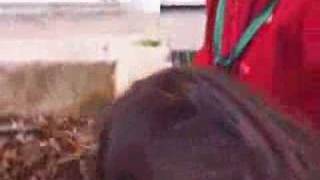 Atelier pâte à modeler