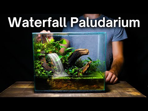 I Made a Paludarium With a Waterfall, Here’s How!