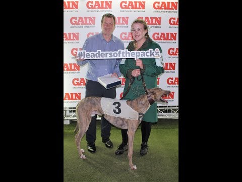 Ninja Fortune Wins Towcester Race 13 - 21st April 2018 Watch Now!!! (Official Video)