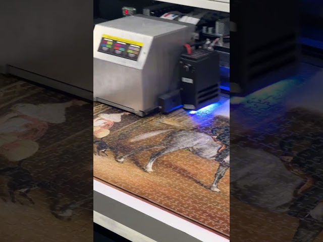 Vídeo relacionado con USAOPOLY-1000 Piece Puzzle Animal Puzle, Multicolor, único (PZ005-732-002100-06)